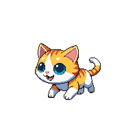 kitten running