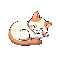 kitten sleeping