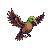 kiwi bird flying