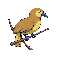 kiwi bird perched