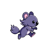 koala running