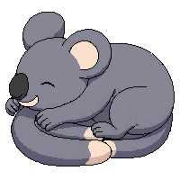 koala sleeping