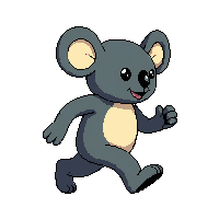 koala walking