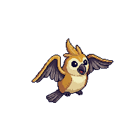 kookaburra flying