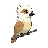 kookaburra perched