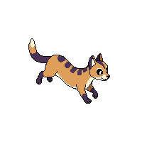 lemur running
