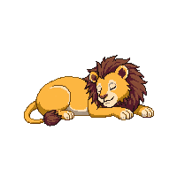 lion sleeping