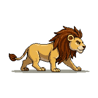 lion walking