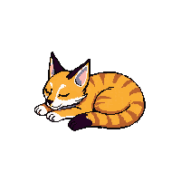 lynx sleeping