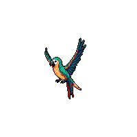 macaw flying