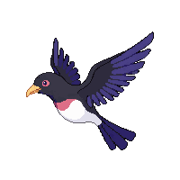 magpie flying