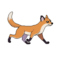 marten walking
