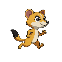 meerkat running