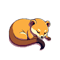 meerkat sleeping