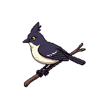 mockingbird perched