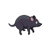 mole running