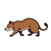 mole walking