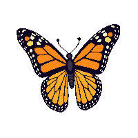 monarch butterfly flying