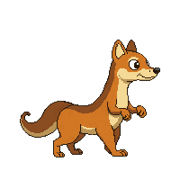 mongoose walking
