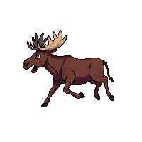 moose running