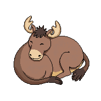 moose sleeping