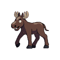 moose walking