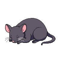 mouse sleeping