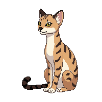 ocelot sitting