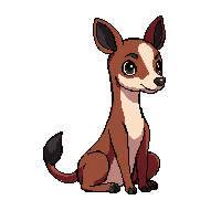 okapi sitting