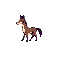 okapi walking