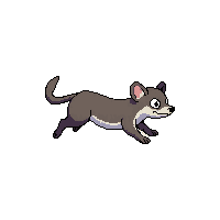 opossum running