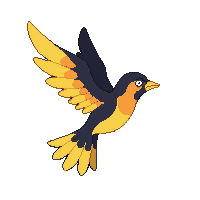 oriole flying