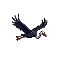 ostrich flying