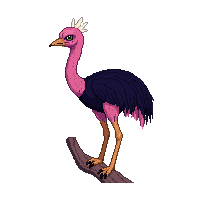 ostrich perched
