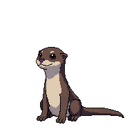 otter sitting