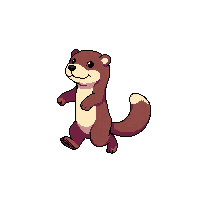 otter walking