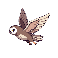 owl flying