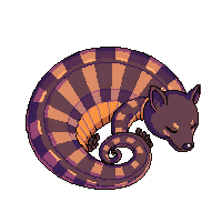 pangolin sleeping