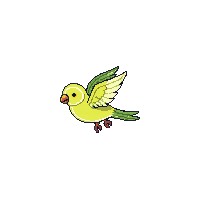 parakeet flying