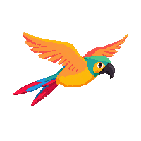 parrot flying