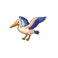 pelican flying