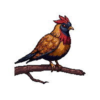 pheasant perched