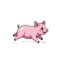 piglet running