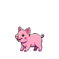 piglet walking