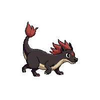 platypus walking