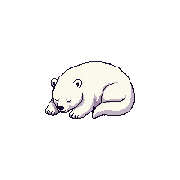polar bear sleeping