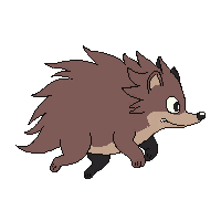 porcupine running