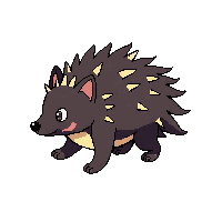porcupine walking