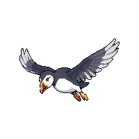 puffin flying