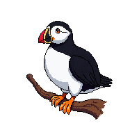 puffin perched